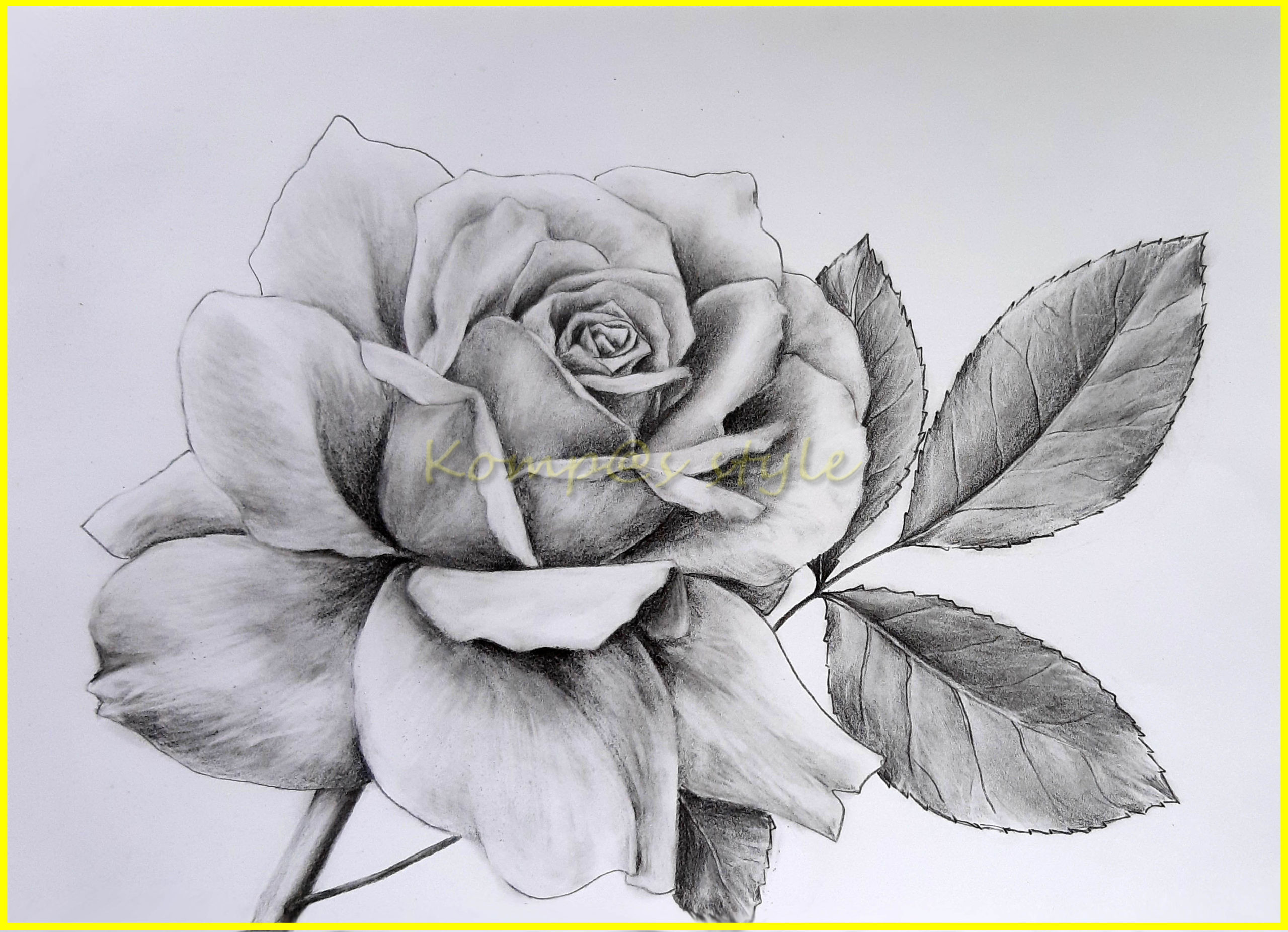 Рисунки розы для срисовки (100 фото)